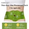 Combo 5 miếng Miếng dán giảm béo thảo dược PTLUXURY – Giảm cân, giảm đau bụng kinh, chỉ 59.000₫