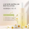 Combo 5 món Cúc La Mã ICESEA - Dưỡng ẩm, cấp ẩm, sáng da, phục hồi - Giá 539k 6