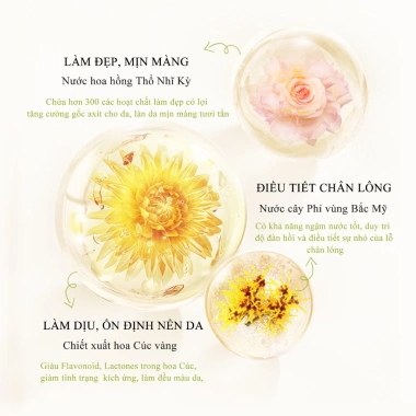 Combo 5 món Cúc La Mã ICESEA - Dưỡng ẩm, cấp ẩm, sáng da, phục hồi - Giá 539k 8