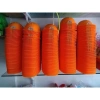 Combo 5 mũ công nhân nhựa bé mầm non - An toàn, màu sắc bắt mắt, giảm 20% 2