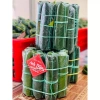 Combo 5 Nem Chua Cối Vị Truyền Thống - Ngon, To, Giá Ưu Đãi 210.000₫