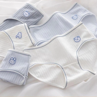 Combo 5 Quần Lót Cotton Đính Cute - Cạp Vừa Đáy, Kháng Khuẩn AMYBRA L861 152.000đ 2