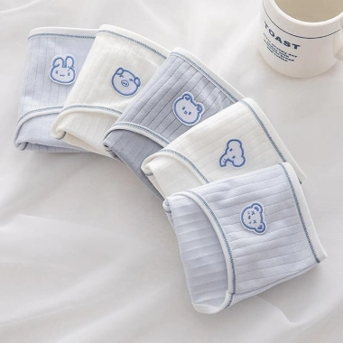 Combo 5 Quần Lót Cotton Đính Cute - Cạp Vừa Đáy, Kháng Khuẩn AMYBRA L861 152.000đ 5