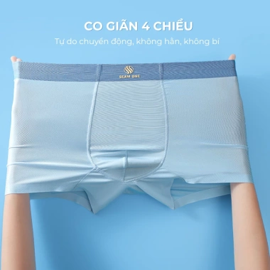 Combo 5 Quần Lót Nam Boxer Seamone – Lụa Băng, Co Giãn, Thoáng Khí, Kháng Khuẩn 10A, Khử Mùi 8