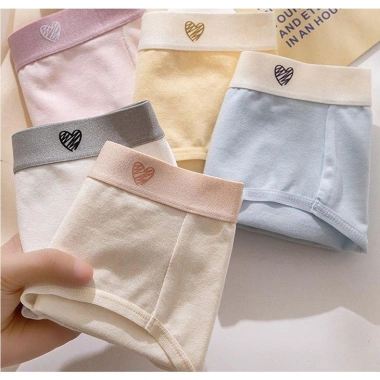 Combo 5 Quần Lót Nữ Cotton Viền Pastel + Quần Chip Cạp Ôm Hông Không Lộ Viền AMYBRA L183 Giá chỉ 184.000 VND