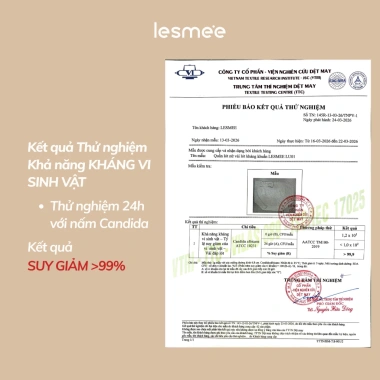 Combo 5 Quần Lót Nữ LESMÉE Không Viền Kháng Khuẩn Co Giãn Mềm Mịn Giá 199k 4