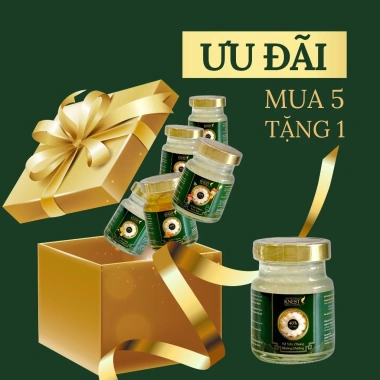 Combo 5 tặng 1 tổ yến chưng KNEST 8-12g - Yến sào Khang chỉ 129k, quà tặng người thân