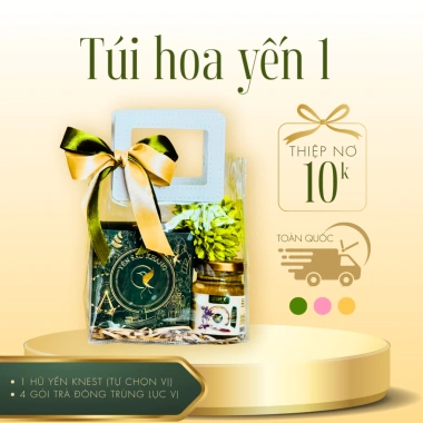 Combo 5 tặng 1 tổ yến chưng KNEST 8-12g - Yến sào Khang chỉ 129k, quà tặng người thân