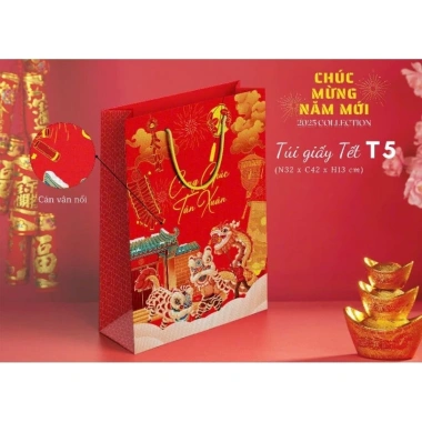Combo 5 túi - 10 túi Tết 2.025 Được chọn size, giá chỉ 95.000đ, ưu đãi đặc biệt, phong cách hiện đại, chuẩn Tết 4
