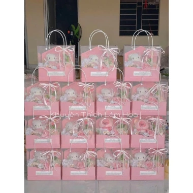 Combo 5 Túi Mica Bìa Thư Romantic Day 25x11.5x25cm Đựng Quà Sang Trọng 20/10 8/3 Giá 39.000