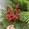 Combo 50-100 nhánh đào đông, quả cherry đỏ - Trang trí tháp bánh nước Tết 2.026, 125.000₫ 9