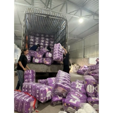 Combo 50 miếng Băng Vệ Sinh Enjjoy Lady - Bao Tím, Size 30-70kg, Giá chỉ 175.557₫