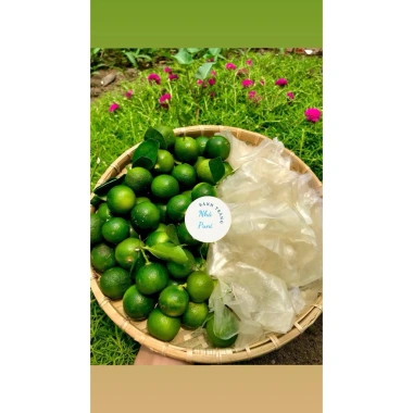 Combo 500g Bánh Tráng ủ Bơ Siêu Rẻ 39k - Tặng Muối Sặc, Tắc, Giá Chỉ 39.000đ Combo 500g Bánh Tráng ủ Bơ Siêu Rẻ 39k - Tặng Muối Sặc, Tắc, Giá Chỉ 39.000đ