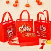 Combo 5/10 Túi Vải Không Dệt DANY - Quà sinh nhật, túi đồng Tết cho bé, giá 37.500đ 2