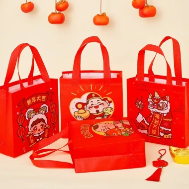Combo 5/10 Túi Vải Không Dệt DANY - Quà sinh nhật, túi đồng Tết cho bé, giá 37.500đ