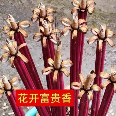 Combo 54 Cây Nhang Phú Quý Khai Hoa Cao Cấp - Mở Lộc Mở Tài, May Mắn Đầu Năm 50.000 3