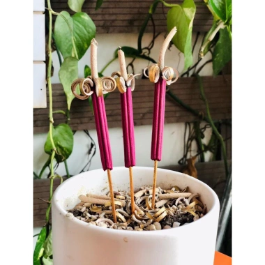 Combo 54 Cây Nhang Phú Quý Khai Hoa Cao Cấp - Mở Lộc Mở Tài, May Mắn Đầu Năm 50.000 4