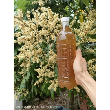 Combo 5L Mật Ong Hoa Nhãn - Tặng Kèm 1L, Giá Ưu Đãi 815.000 VNĐ, Dinh Dưỡng Tự Nhiên 2