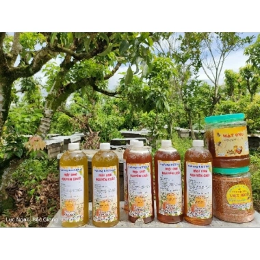 Combo 5L Mật Ong Hoa Nhãn - Tặng Kèm 1L, Giá Ưu Đãi 815.000 VNĐ, Dinh Dưỡng Tự Nhiên 4
