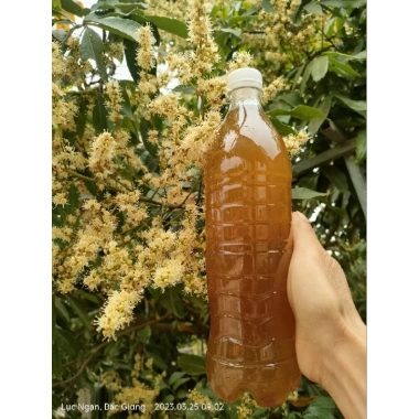 Combo 5L Mật Ong Hoa Nhãn - Tặng Kèm 1L, Giá Ưu Đãi 815.000 VNĐ, Dinh Dưỡng Tự Nhiên 5