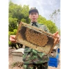 Combo 5L Mật Ong Hoa Vải - Tặng Kèm 1L, Giảm Giá Đến 470k, Tăng Cường Sức Khỏe 2