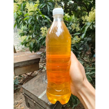Combo 5L Mật Ong Hoa Vải - Tặng Kèm 1L, Giảm Giá Đến 470k, Tăng Cường Sức Khỏe 6 Combo 5L Mật Ong Hoa Vải - Tặng Kèm 1L, Giảm Giá Đến 470k, Tăng Cường Sức Khỏe 6