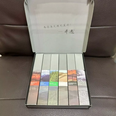 Combo 6 Bàn Chải Đánh Răng Cao Cấp Lông Mềm Cho Gia Đình - Hộp 6 Cái 9