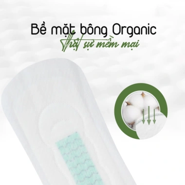 Combo 6 gói Băng Vệ Sinh Ban Ngày Kháng Khuẩn Siêu Mỏng 245mm Yeonchi Organic - Giá ưu đãi 108.000₫