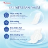 Combo 6 gói băng vệ sinh Yeonchi Befree siêu mỏng, siêu thấm, công nghệ Hàn Quốc 99.000₫ 2
