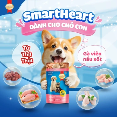 Combo 6 gói SmartHeart Thức ăn chó con vị gà + Tặng Nón & Yếm - Giá chỉ 124.200₫ 4