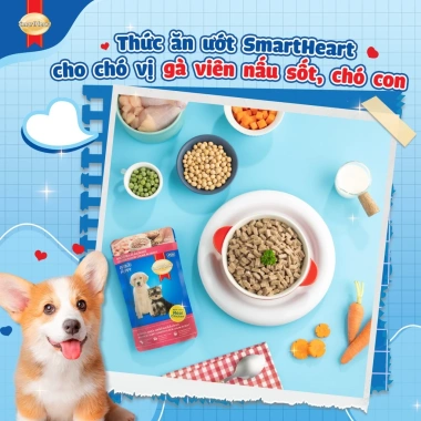 Combo 6 gói SmartHeart Thức ăn chó con vị gà + Tặng Nón & Yếm - Giá chỉ 124.200₫ 5