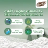 Combo 6 lốc Giấy Vệ Sinh Bảo Bảo 6 cuộn không lõi Hồng - Thấm hút tốt, 92.000 VND 7