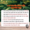 Combo 60 Hủ Nước Yến Sào Yến Nguyên Anh 350mg Tươi, Tặng 6 Hủ, Giảm 65k, Không Bảo Quản 3