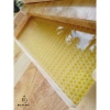 Combo 7 Cầu Ong Thông Minh Tự Động Chạy Mật Tinh Tiêu Chuẩn Giá Chỉ 2.99 Triệu 8