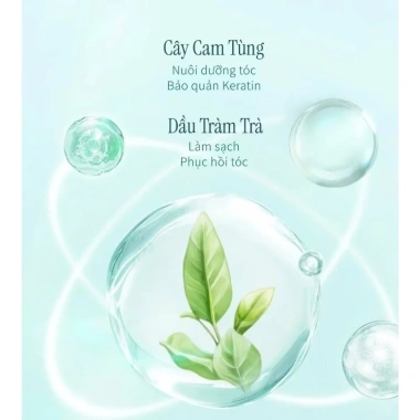 Combo 8 gói dầu gội CHANDO 7.5ml - Kiểm soát dầu, giảm gàu, phồng chân tóc, 35.000₫ 4 Combo 8 gói dầu gội CHANDO 7.5ml - Kiểm soát dầu, giảm gàu, phồng chân tóc, 35.000₫ 4