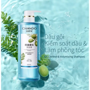 Combo 8 gói dầu gội CHANDO 7.5ml - Kiểm soát dầu, giảm gàu, phồng chân tóc, 35.000₫