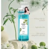 Combo 8 gói dầu gội CHANDO 7.5ml - Kiểm soát dầu, giảm gàu, phồng chân tóc, 35.000₫ 6