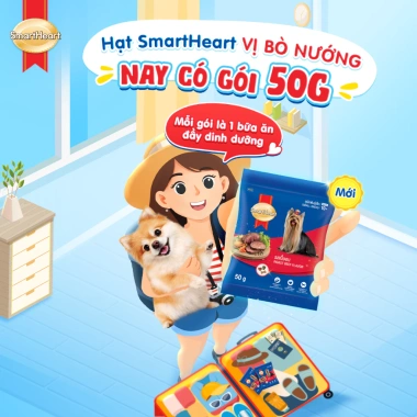 Combo 8 gói SmartHeart vị bò nướng 50gr + Set Nón & Yếm – Chỉ 72.000₫ (Giá gốc 92.880₫)