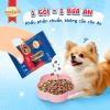 Combo 8 gói SmartHeart vị bò nướng 50gr + Set Nón & Yếm – Chỉ 72.000₫ (Giá gốc 92.880₫) 7