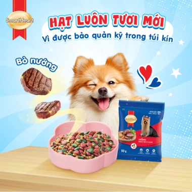 Combo 8 gói SmartHeart vị bò nướng 50gr + Set Nón & Yếm – Chỉ 72.000₫ (Giá gốc 92.880₫)