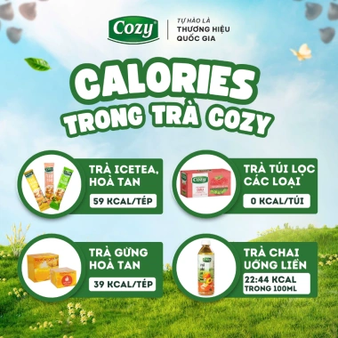 Combo 8 Hộp Trà Hòa Tan COZY IceTea Trà trái cây Nhiều Vị - Giá chỉ 308.000 VND