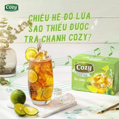 Combo 8 Hộp Trà Hòa Tan COZY IceTea Trà trái cây Nhiều Vị - Giá chỉ 308.000 VND
