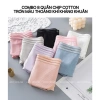 Combo 8 quần lót cotton viền cạp ren, thoáng khí, kháng khuẩn - Giá chỉ 88.000₫