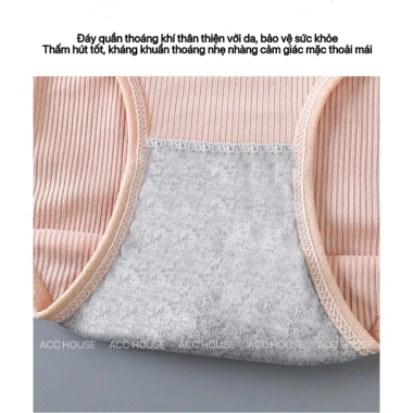 Combo 8 quần lót cotton viền cạp ren, thoáng khí, kháng khuẩn - Giá chỉ 88.000₫
