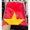 Combo áo cờ đỏ sao vàng + quần đùi trắng cho bé Freeship, giá 35.000₫, đẹp, thoải mái 6