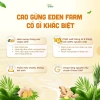 Combo Cao Gừng Xoa Bóp Xương Khớp - Tan Mỡ Bụng, Giảm Đau Cổ Vai Gáy, Thư Giãn 152k 7