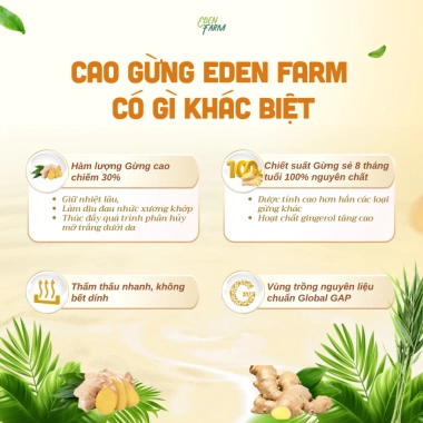 Combo Cao Gừng Xoa Bóp Xương Khớp - Tan Mỡ Bụng, Giảm Đau Cổ Vai Gáy, Thư Giãn 152k 7