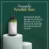 Combo Caryophy Portulaca Hàn Quốc - Toner, Serum, Kem dưỡng, Mặt nạ da mụn, Giá ưu đãi 307k 6