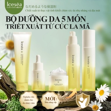 Combo Chăm Sóc Da 5 Món Cúc La Mã ICESEA - Cấp Ẩm, Dưỡng Ẩm, Sáng Da, Phục Hồi, Tái Tạo Làn Da - Giá 759.000₫