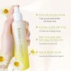 Combo Chăm Sóc Da 5 Món Cúc La Mã ICESEA - Cấp Ẩm, Dưỡng Ẩm, Sáng Da, Phục Hồi, Tái Tạo Làn Da - Giá 759.000₫ 9